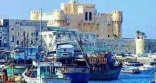 نقابة المهندسين بالإسكندرية تطلق مبادرة أعرف مدينتك .. 17 اغسطس