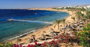 معلومات الوزراء يبرز اختيار الغردقة وشرم الشيخ ضمن أهم 25 مقصدًا سياحيًّا