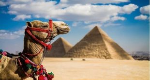 مستثمرون يكشفون مكاسب سياحة مصر والشرق الأوسط من تنظيم قطر لكأس العالم