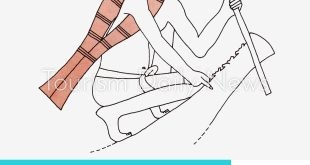 أهم علامات ورموز الكتابة الهيروغليفية القديمة .. تعرف على "سا"