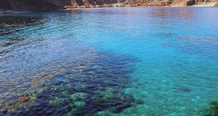 المنشآت الفندقية