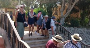 سياح أمريكان وألمان وفرنسيون يزورون المناطق الأثرية والسياحية بإلمنيا