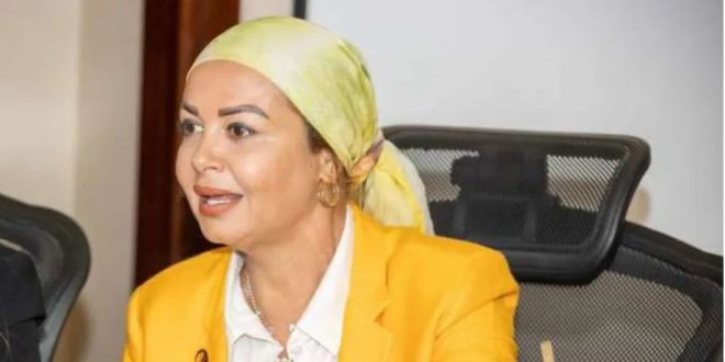 النائبة أمل سلامة عضو مجلس النواب