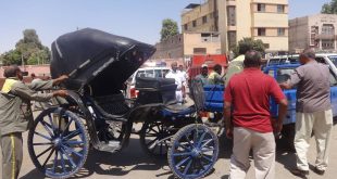 إزالة الإشغالات وعربات الحنطور من محيط محطة سكك حديد الأقصر