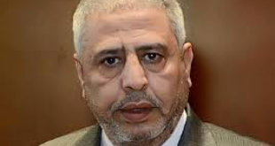 علاء الغمري