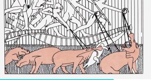 بماذا ترمز علامة "فرس النهر" في اللغة المصرية القديمة ؟