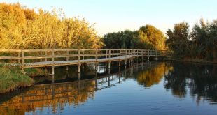 افتتاح ممر سياحي بيئي جديد في محمية الأزرق لتطوير برامج السياحة البيئية