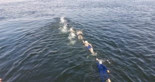 افتتاح بطولة الصعيد للمياه المفتوحة بأسوان للسباحة في النيل