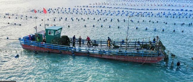 الصين : إطلاق ماكينات ذكية لإصدار موافقات السفر للسياح المتوجهين إلى ماكاو