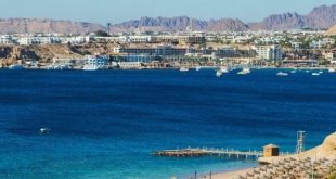 اقتصاديون : انعقاد قمة المناخ شهادة ثقة لاستقرار الأمن وترويج لشرم الشيخ