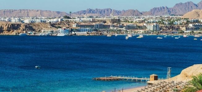 اقتصاديون : انعقاد قمة المناخ شهادة ثقة لاستقرار الأمن وترويج لشرم الشيخ