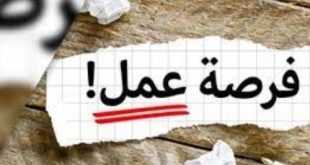 40 شركه تطرح 300 فرصة عمل في منتدى التوظيف Chance بالغردقة اليوم