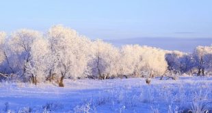 هبوط حاد في درجات الحرارة وتهاطل الثلوج بغزارة على هوما