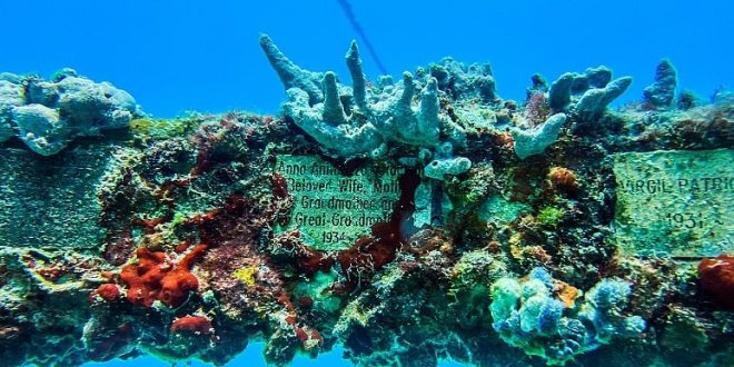 مقبرة في قاع البحر بسواحل فلوريدا ومحاطة بأسماك ملونة رحلة رائعة للغواصين