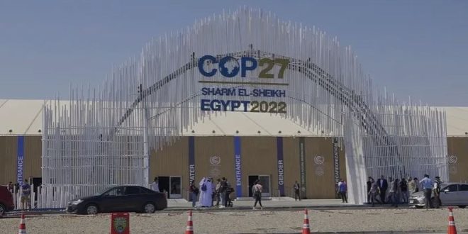 نقيب البيطريين : مؤتمر المناخ وضع العالم أمام مسؤولياته لمواجهة الكوارث