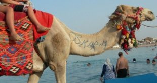 "نواب" يتحدثون عن السياحة والثروة العقارية لتحسين وضع مصر الاقتصادي