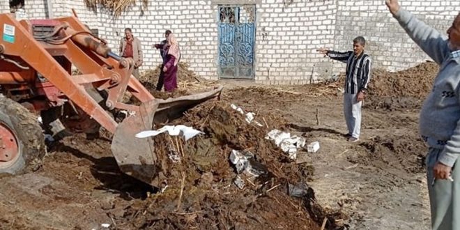 الإسكندرية : حملة لإزالة 11 حالة تعد على الظهير الريفي لحي المنتزه