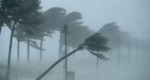 رياح عاتية تسببت في اتقطاع الكهرباء عن تورنتو وسقوط الأشجار