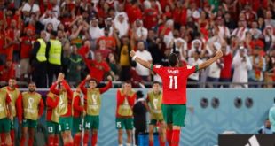 فيزا تكشف حجم إنفاق المشجعين خلال حضورهم مباريات المونديال بقطر