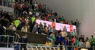 تحسن حالة 26 مصاباً في حادث سقوط مدرج صالة ألعاب د. حسن مصطفى بـ 6 أكتوبر