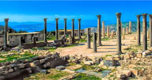 أردننا جنة يتأكد من جاهزية مسارات سياحة المغامرات وبرامج القصور الصحراوية