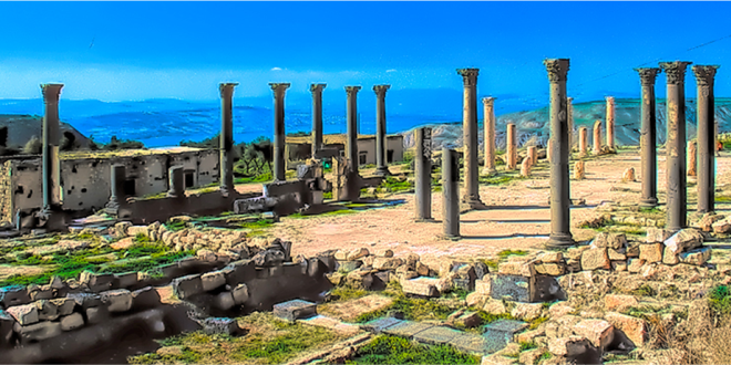 أردننا جنة يتأكد من جاهزية مسارات سياحة المغامرات وبرامج القصور الصحراوية