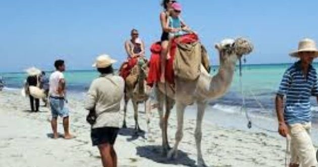 تعليمات ورقابة صارمة من السياحة على المنشأت خلال الاحتفالات برأس السنة