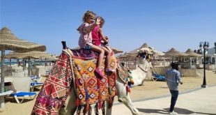 نقابة السياحيين بالبحر الأحمر تنظم مؤتمر عن دور الإعلام في دعم السياحة