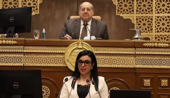 النائبة ريهام عفيفي