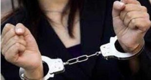 شرطة السياحة تضبط موظفة بإحدى الشركات تعمل بدون ترخيص بالبحيرة