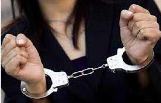 شرطة السياحة تضبط موظفة بإحدى الشركات تعمل بدون ترخيص بالبحيرة