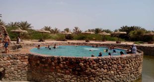 عبدالمجيد : مصر أكبر الدول المؤهلة كوجهة أساسية للسياحة العلاجية في العالم