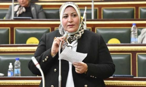 النائبة البرلمانية غادة الضبع