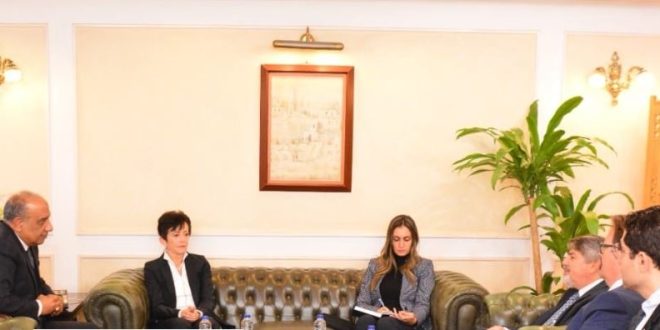 وزير قطاع الأعمال يبحث مع "TRS" الشراكة في مجال إعادة تدوير الإطارات