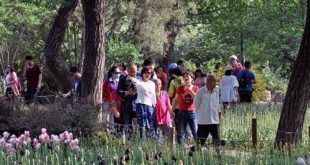 حدائق بكين تستقبل 4.34 مليون زائر خلال عطلة عيد الربيع