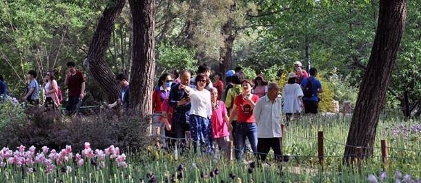 حدائق بكين تستقبل 4.34 مليون زائر خلال عطلة عيد الربيع