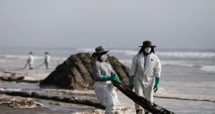 استمرار إغلاق الشواطئ البيروفية بسبب التسربات النفطية وتوقف الصيد