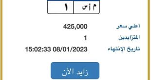 بوابة مرور مصر الإلكترونية تكشف عن سعر لوجة معدنية في مزاد للأرقام المميزة