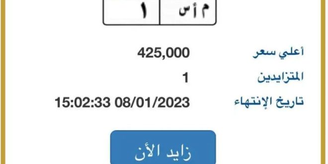 بوابة مرور مصر الإلكترونية تكشف عن سعر لوجة معدنية في مزاد للأرقام المميزة