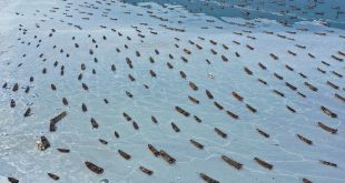 مشهد مذهل على الجليد الابيض بمنطقة جينشيتان البحرية في داليان