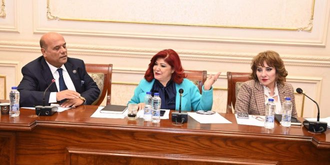 دعم الطيران العارض ضمن 10 طلبات إحاطة أمام مجلس النواب