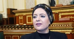 النائبة ريهام عبدالنبي عضو مجلس النواب