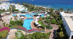 فتح قضية تقنين الأراضى وبحث أسباب تأخير حملة الترويج الدولية