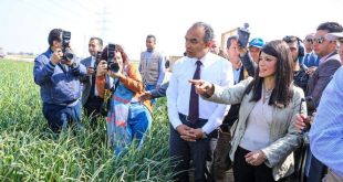 مصر : "التعاون" ومكتب الأمم المتحدة يطلقان أسبوع شراكة لتحفيز الاستثمار