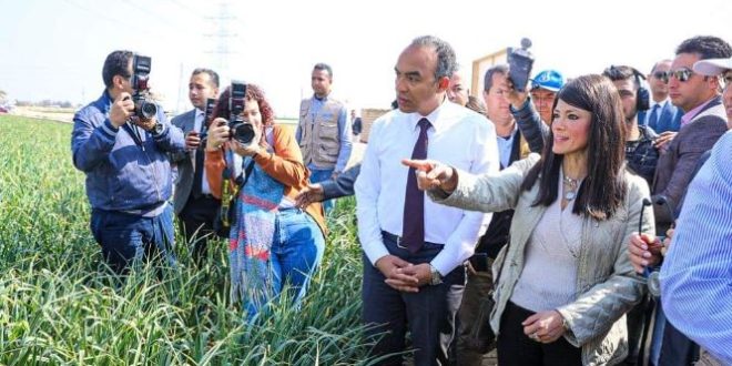 مصر : "التعاون" ومكتب الأمم المتحدة يطلقان أسبوع شراكة لتحفيز الاستثمار