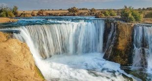 الأميرة عالية تستقبل "فؤاد" توأمة بين محمية وادي الريان والمأوى بالأردن