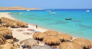 أشهر الجزر البحرية بالبحر الأحمر .. الجفتون جمال ربانى وهبها الله لمصر