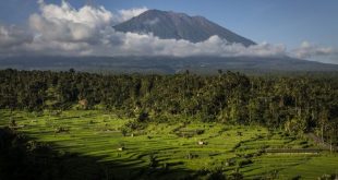 ترحيل سائح روسي بعد أن خلع ملابسه على قمة جبل أجونج المقدس