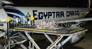 مصر للطيران للشحن تساهم في نقل سلسلة من شحنات اللحوم المبردة من تشاد لمصر