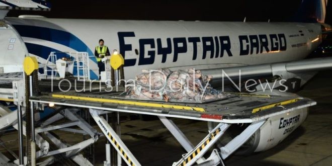 مصر للطيران للشحن تساهم في نقل سلسلة من شحنات اللحوم المبردة من تشاد لمصر